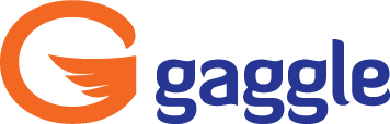 Safe Online Teaching with Gaggle